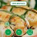 26.webp