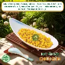 179.webp