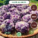 118.webp