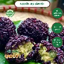 126.webp