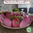 Cơm hấp lá sen
